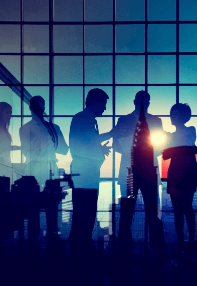 Smart Line Agro - About Us