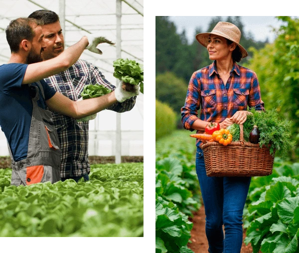 Products and Services